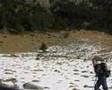 Recollida del Pessebre del Pirineu