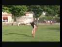 clip d\