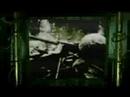 Twiztid - Wrong With Me