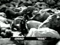 Paul Comi video 3
