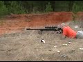 Armalite AR-50