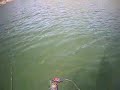 1 Mar 07 Swimbaits