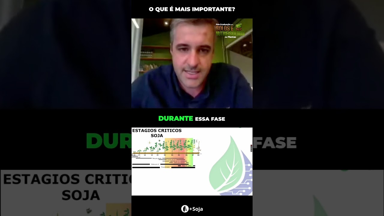 O que é mais importante? #produtividade #soja #manejo #agro
