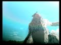 Naruto: Narutimate Hero 3: Introduction