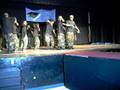 videos de wolfson kappa phi (entrance)