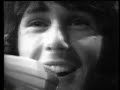 The Tremeloes - My little Lady