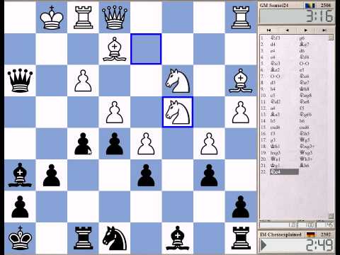 chess knight