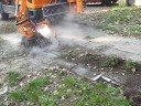 videos de Multicar Fumo odchwaszczarka Fiedler Łódź Poland test