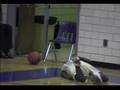 Chamblee v. Cross Keys Basketball 2002