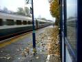 videos de Spondon Derbyshire (pt31)