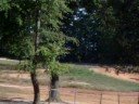 Running laps at NCMP