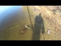 паша с уралмаша рыбалка видео лещ паша с уралмаша рыбалка видео лещ