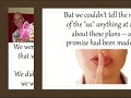 Denise Alexander video 3