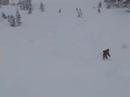 wasatch wasatch