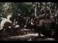 1942-43 Japanese Relocation and the 442nd Regiment in Color