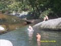 swimming in the river swimming in the river