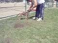 K9 Attack Dog Baby Malinois K9 Attack Dog Baby Malinois