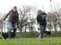 FRISBEE - poznański trening - 7.12.2008r.