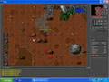 Tibia Thorox'Knight Empera
