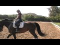 Princessa Dressage Princessa Dressage