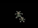 GORGO