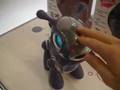 Sega Toys Mio robotic dog: Tokyo Toy Show 2007
