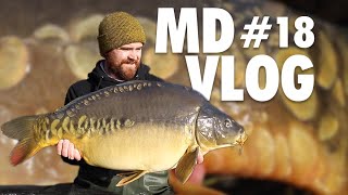 MD VLOG #18: Carp Porn