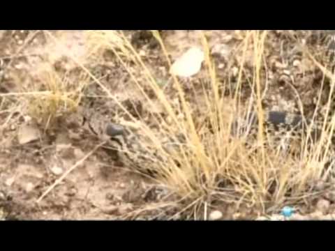 xPJrdCC9-oM