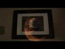 INCREDIBLE, HILLARIOUS Remake of Pink Floyd\