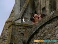 MONTE SAINT-MICHEL NORMANDÍA  (FRANCIA) - MUCHOVIAJE