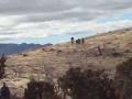 Tabbys Canyon on Stansbury Island - From the trail