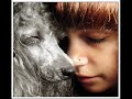 Dogs.
