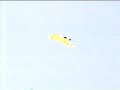 Pylon Race #11 - Airplane Crash - Lake Afton Pylon Race #11 - Airplane Crash - Lake Afton