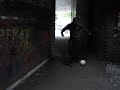 Tim Groundmoves Tim Groundmoves