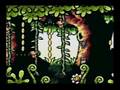 videos de Yoshi's Island (3-E, 100%) Speedrun