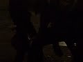Dance Party