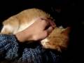affectionate.MPG