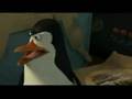 Madagaskar 2  Teaser (www.zwiastuny.jo.pl)