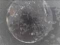 videos de ARCADYXXIst.HORsJe