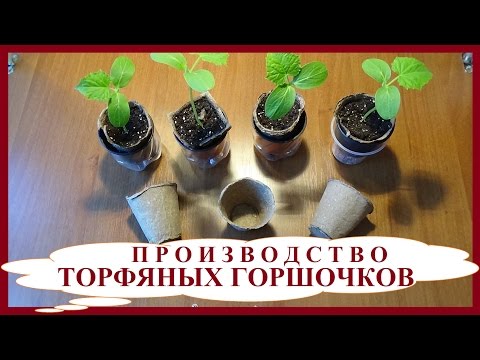 Торфяной горшочек своими руками Торфяной горшочек своими руками