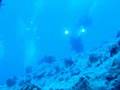 Red Sea 2004 - CADSAC