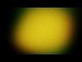 videos de Dona - Roupa Nova
