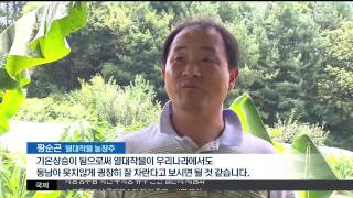 뉴스투데이