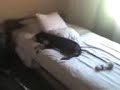 Durmiendo en la cama de mi abuelita