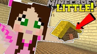 Minecraft: LITTLE HOUSES!!! (TINY HOUSES WITH SECRET ROOMS!) Custom Command
