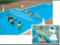 Inground Swimming Pool Basketball and Volleyball Combo Game