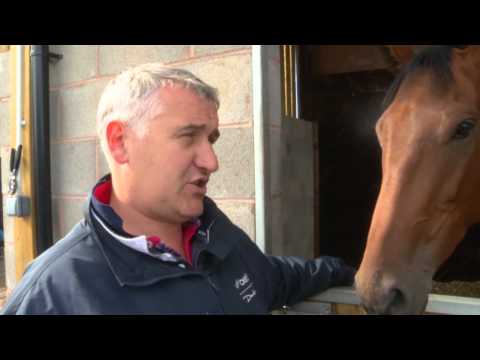 horses grand national horses grand national