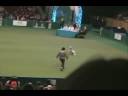 Kath Hardman and Spice Winning the Crufts International Freestyle Comp 2008 - with scores at end.avi Kath Hardman and Spice Winning the Crufts International Freestyle Comp 2008 - with scores at end.avi