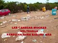 VÍDEO CLIP CON FINES DE CONCILIACIÓN Y PREVENCIÓN, A PROBLEMÁTICAS AMBIENTALES DEL FESTIVAL DE VERANO 2009 DONDE MÁS DE 25.000 PERSONAS EN CUATRO DÍAS PARECE QUE ESTUVIÉSEMOS EN HUMANOS V-S NATURALEZA. TODO POR LA DIVERSIÓN Y EL ESPARCIMIENTO, EN  PUERTO GAITÁN EN EL DEPARTAMENTO DEL META DE COLOMBIA EN AMÉRICA DEL SUR.DONDE SI NO TOMAMOS MEDIDAS PREVENTIVAS YA QUE EL ACIERTO ES UNA RESPONSABILIDAD SERIA, PUNTUAL Y PRECISA A LAS CINCO INCERTIDUMBRES SOCIALES CULTURALES DESDE EL EJE AMBIENTAL DONDE EL PROBLEMA MÁS GRANDE ES SI NO HACEMOS ALGO PARA QUE NO VUELVA A SUCEDER EN ESTE LUGAR Y EN CUALQUIER OTRO SITIO DONDE DEBEMOS AYUDAR A CONSTRUIR ALERTAS TEMPRANAS PARA CULTIVAR UN CULTURA DE PAZ QUE ES POSIBLEUNA REALIZACIÓN ARTE NATURALLABORATORIO DE INVESTIGACIÓN SOCIAL Y CULTURAL2008PROYECTOS SOCIALES SIN ÁNIMO DE LUCRO COMENTARIOS APORTES Y DONACIONESparadogismosambiguos@gmail.com