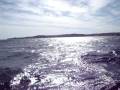 videos de Peninsula Valdez 060